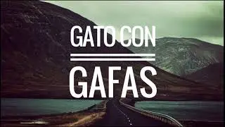 GATO CON GAFAS