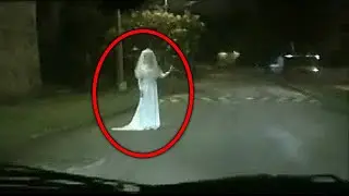 В Это Видео Невозможно Поверить, Но Его Удалось Снять На Камеру