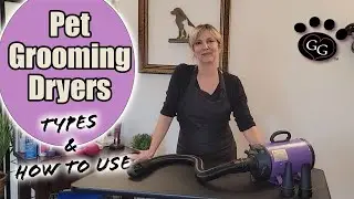 Pet Grooming Dryers - Types and How to use PLUS Field Test of different dryers - Gina's Grooming