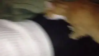 ПРЕДНОВОГОДНИЙ СЕКС | С НОВЫМ ГОДОМ!!