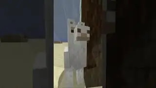 Answering Minecraft Questions Nobody Asked Day 1