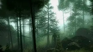 Слендер Темный Лес