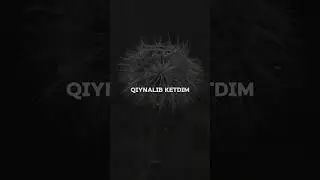 Oq Gulim💮 #ummon #ummonmedia #oqgulim #shortsvideo #shorts #youtube #tiktok #xit #dildagi_qoshiqlar