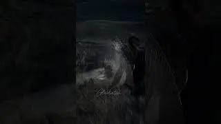 ‪@HansZimmer‬