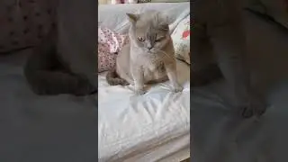 Мусик😜