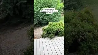 Not mad...