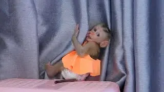 Cutie Valen Playing Curtain And Take A Nap