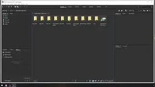 Adobe Bridge- Folder Setup for Premiere Pro