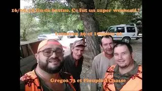 Chasse sanglier