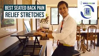 BEST SEATED BACK PAIN RELIEF STRETCHES