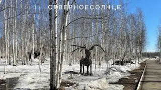 Мирный Якутия 8 мая метель