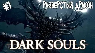 Dark Souls: Prepare to Die Edition #7 Разверстый дракон.