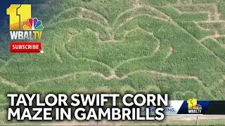 Taylor Swift-themed corn maze to open in Gambrills