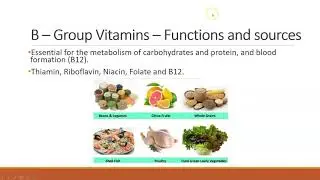 1 5 Vitamins