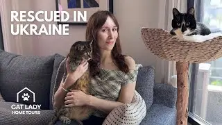 The Ukrainian Rescue Cats Who Inspired It All  | Cat Lady Home Tour