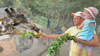 Учим животных с Милой и папой.  Сборник зоопарков.