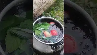 Вкусный осенний лечебный чай.