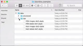 Load MNIST Dataset from PyTorch Torchvision - PyTorch Tutorial