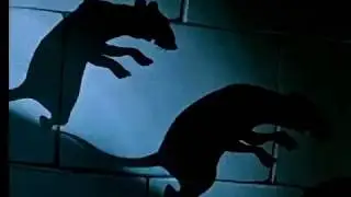 Локи и евреи