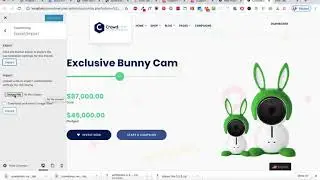 Customizer Export:Import
