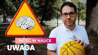 Attention | The Brain in Science
