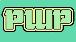 PWP Match and Interview with Jerry Reiner