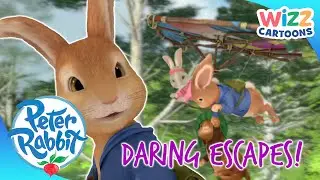 ‪@OfficialPeterRabbit‬
