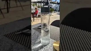 НОВЫЙ РЕСТОРАН РЯДОМ С ЛА МАТА.ТОРРЕВЬЕХА.ИСПАНИЯ🇪🇦