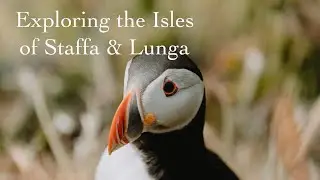 Exploring the Isles of Staffa & Lunga | Scotland
