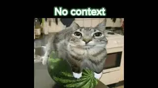Send this to someone and say nothing