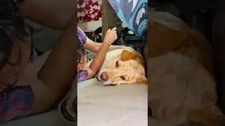 Gapudi: Sourabh meri mummy nahi hai 😤 | SourShy