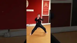Horse stance by Zinjutsu Kung Fu