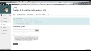 Mailchimp CSV import