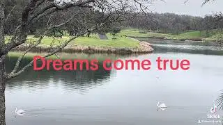 Dreams come true
