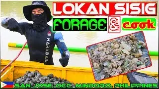 EP29 - Lokan Clams Forage and Cook {Lokan Sisig}
