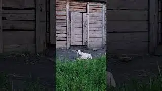 29 июня 2024 г.