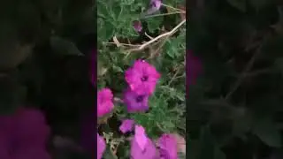 video 2024 08 30 00 28 19