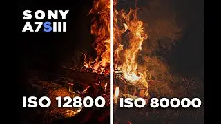 Sony A7SIII EXTREME Low Light Test - Is It Really THAT GOOD? | Sony A7SIII ISO Test