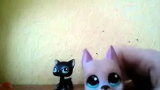 Lps:ВОПРОС ОТВЕТ #2 ЧАСТЬ1