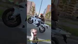 Где же вы, мои ненаглядные?🥹