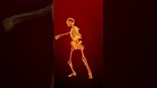 VŨ ĐIỆU CỰC CHẤT, FUNNY AND SO CUTE DANCE