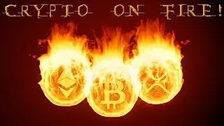 Cryptocurrency on fire animation + Alpha channel (3ds Max, Phoenix FD, After Effects)