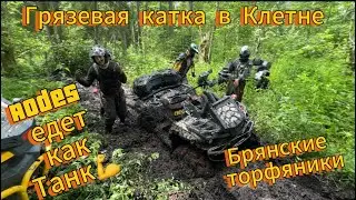 AODES 1000 & Guepard 1000 В Брянских Торфяниках 💪