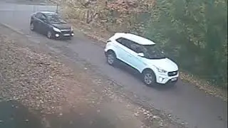Сбили Струве Любовь в Никольско-Архангельском на ул. 1 линия.