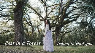 Lost in a Forest Trying to Find You || a6500 Sigma 16mm