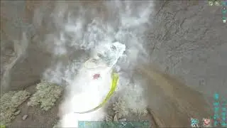 Fake Roll Rat Attack
