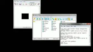 Cara menggunakan radmin remote profesional