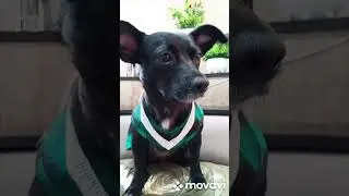 Прости меня моя маленькая, любимая девочка, что не уберегла тебя 😪😪😪😥😭😭😭