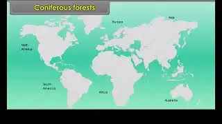 sst class 7 english medium ll Coniferous forest ll sst class 7 #sarojininaidu