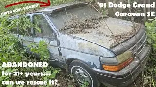 CAN WE RESCUE this 1991 Dodge Grand Caravan SE from the GRAVE after 21+ years?? | A MUDDY MESS!!!